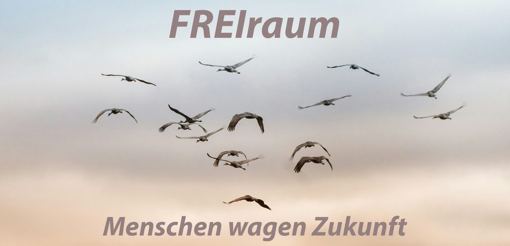 Vögel ziehen über den Himmel. Darüber und darunter der Claim: FREIraum - Menschen wagen Zukunft